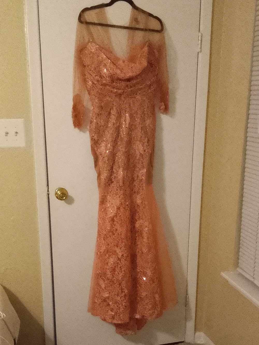 Embellished Peach Lace Long-Sleeve Evening Gown